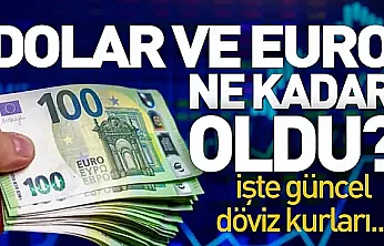 21 Haziran döviz kurlarında son durum
