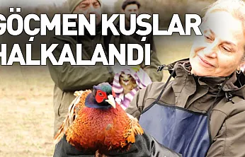 81 binden fazla göçmen kuş halkalandı
