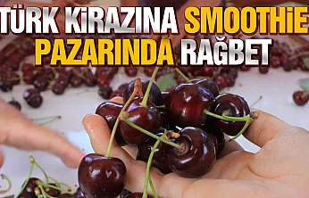 ABD ve Avrupa Sultandağı kirazı istiyor