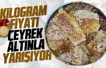 Ağaç kovuğundan çıkıyor, kilosu 15 bin liraya satılıyor