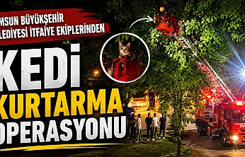 Ağaçta Mahsur Kalan Kediyi İtfaiye kurtardı