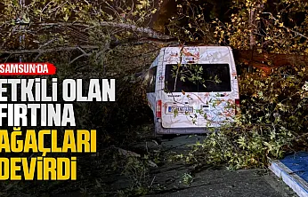 Alaçam'da şiddetli rüzgar nedeniyle devrilen ağaç minibüsün üzerine düştü