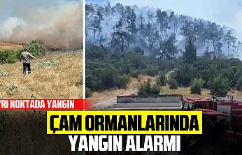 Alevler Evlerin Sınırına Dayandı!