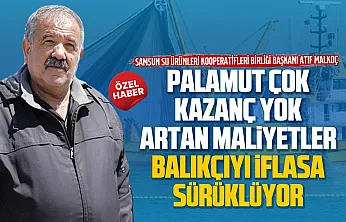 Atıf Malkoç, 'Mazot zamları Karadeniz'de palamut sevincini bitirdi'