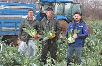 Bafra'dan Ankara'ya seslendiler! 'Bu süreci devlet büyüklerimiz takip etsin'