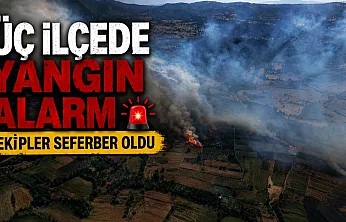 Balıkesir'de üç ayrı noktada yangın