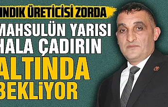 BBP Çarşamba İlçe Başkanı Akbulut, 'Fındık üreticisinin kredi borçları ertelenmeli'
