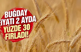 Buğday fiyatlarında savaş etkisi 2 ayda yüzde 30 yükseldi