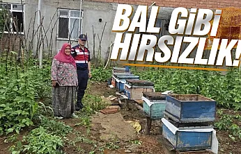 Çarşamba'da arı kovanlarını çalan şahıs JASAT'tan kaçamadı