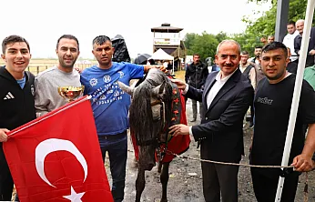 Çarşamba'da geleneksel rahvan at yarışları başladı