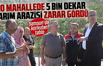 Çarşamba'da sağanak sonrası hasar tespit çalışmaları sürüyor
