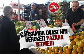 Çarşamba pazarında yerli ürün kalmadı