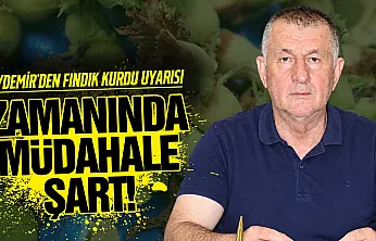Çarşamba Ziraat Odası Başkanı Muammer Aydemir'den fındık kurdu uyarısı