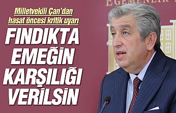 CHP'li Murat Çan: 'Fındıkta maliyet 200 lirayı aştı, üretici emeğinin karşılığını bekliyor'