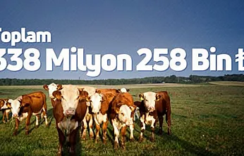 Çiftçiye 338 milyon TL destek ödemesi yapıldı