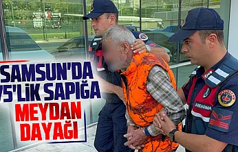 Çocuk tacizcisine meydan dayağı