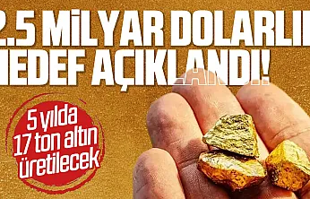 Cumhurbaşkanı Yardımcısı Cevdet Yılmaz: 5 yılda 17 ton altın üretilecek