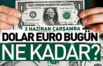 Dolar kaç TL oldu, Euro ne kadar? (3 Haziran Çarşamba Döviz Kurları)