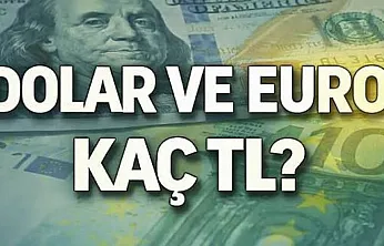 Dolar kaç TL oldu, Euro ne kadar? (13 Haziran Cumartesi Döviz Kurları)