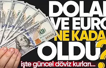Dolar/TL bugün ne kadar? (15 Haziran 2026)
