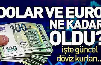 Dolar ve Euro'da son durum! 5 Eylül Cumartesi serbest piyasa netleşiyor…