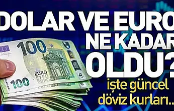 Dolar ve Euro güne nasıl başladı?
