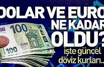 Dolar ve Euro güne nasıl başladı?