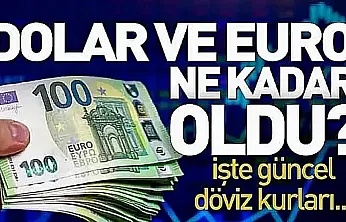 Dolar ve Euro güne nasıl başladı?