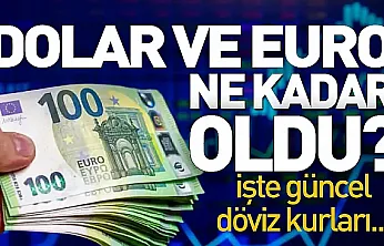 Dolar ve Euro Haftayı Zirveye Yakın Kapatıyor