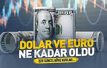 Dolar ve Euro ne kadar oldu? 20 Eylül 2026 güncel döviz kurları