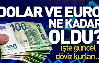 Dolar ve Euro Piyasalarında Son Durum