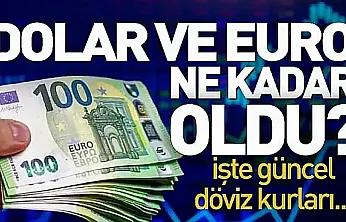 Dolar ve euroda son durum: İşte güncel fiyatlar