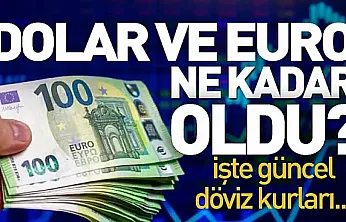 Döviz piyasasında hareketlilik sürüyor