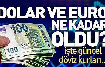 Döviz piyasasında son durum: Dolar ve Euro kaç TL oldu?