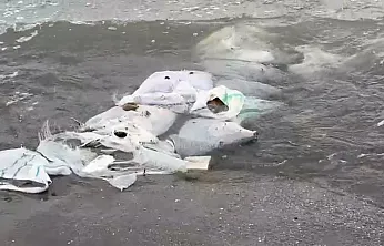 Duyarsızlar! İnşaat atığını denize döktüler