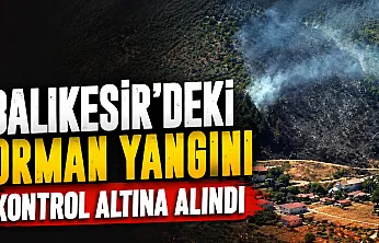 Edremit Körfezi'nde korkutan yangın: Ekipler seferber oldu