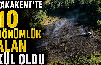 Ekiplerin hızlı müdahalesiyle alevler evlere ulaşmadan kontrol altına alındı