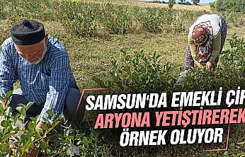 Emekli çiftin Samsun'da kurduğu aronya bahçesi alternatif tarıma örnek oluyor