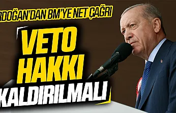 Erdoğan'dan BM güvenlik konseyi için veto çağrısı