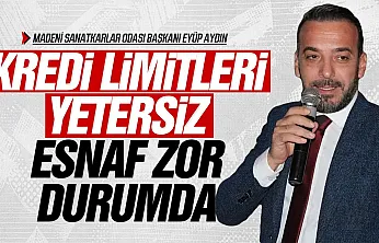 Eyüp Aydın, 'Kepenk kapatma oranı yüzde 10 civarında'