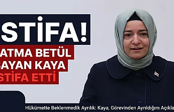 Fatma Betül Sayan Kaya AKP'deki görevlerinden istifa etti