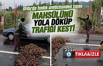 Fındığını Yola Döktü: 'Emeğimizi Ayaklar Altına Aldılar'