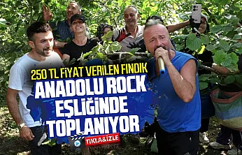 Fındık bahçesinde müzik molası