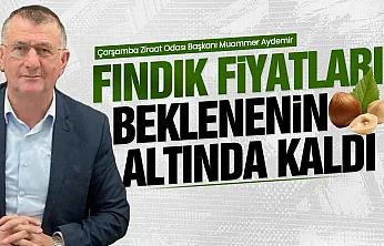 Fındık fiyatına ilk değerlendirme Muammer Aydemir'den