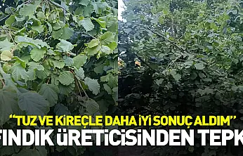 Fındık üreticisinden tepki: 'Tuz ve kireçle daha iyi sonuç aldım'