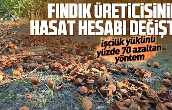 Fındıkta file dönemi: İşçilik maliyetini yüzde 70 düşürüyor