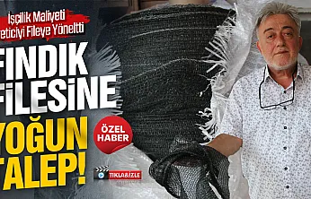 Fındıkta fileye rağbet arttı