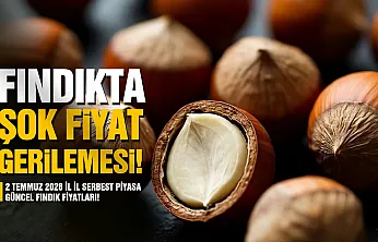 Fındıkta şok fiyat gerilemesi: 2 Temmuz 2026 İl İl Serbest Piyasa Güncel Fındık Fiyatları!