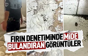 Fırın denetiminde böcek ve izmarit skandalı