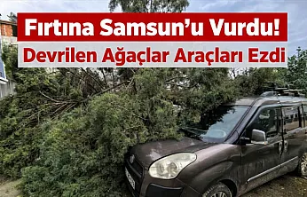 Fırtına Samsun'u Vurdu! Devrilen Ağaçlar Araçları Ezdi